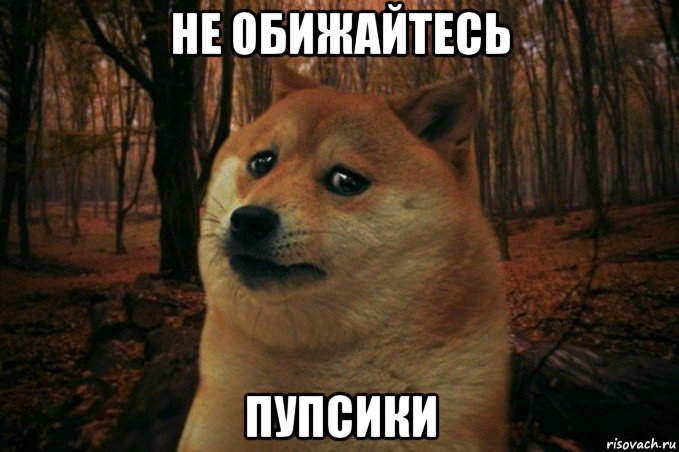 не обижайтесь пупсики, Мем SAD DOGE