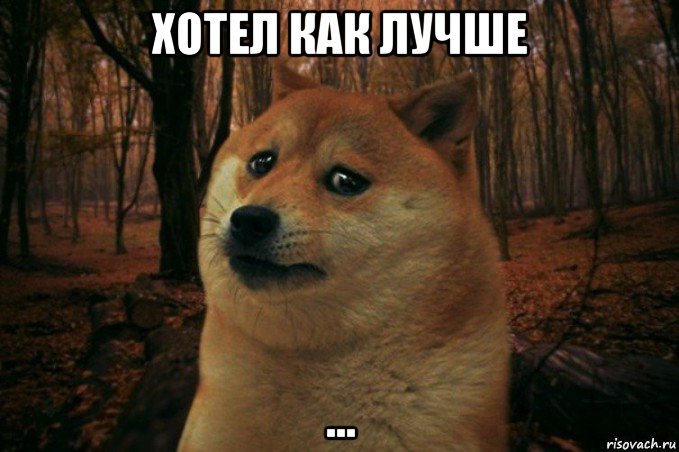 хотел как лучше ..., Мем SAD DOGE