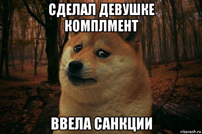 сделал девушке комплмент ввела санкции, Мем SAD DOGE