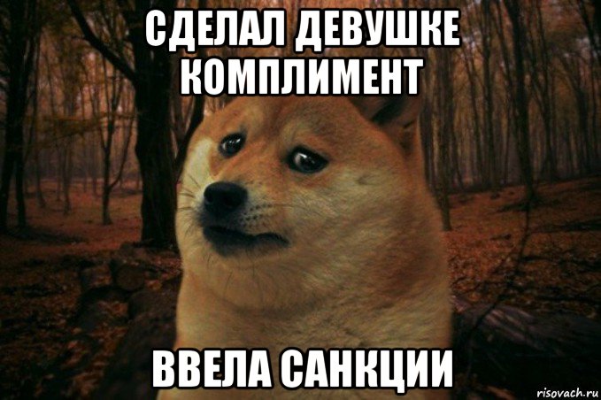 сделал девушке комплимент ввела санкции, Мем SAD DOGE