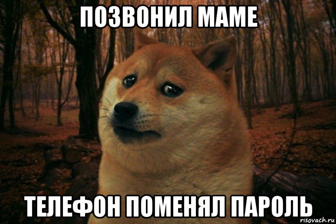 позвонил маме телефон поменял пароль, Мем SAD DOGE