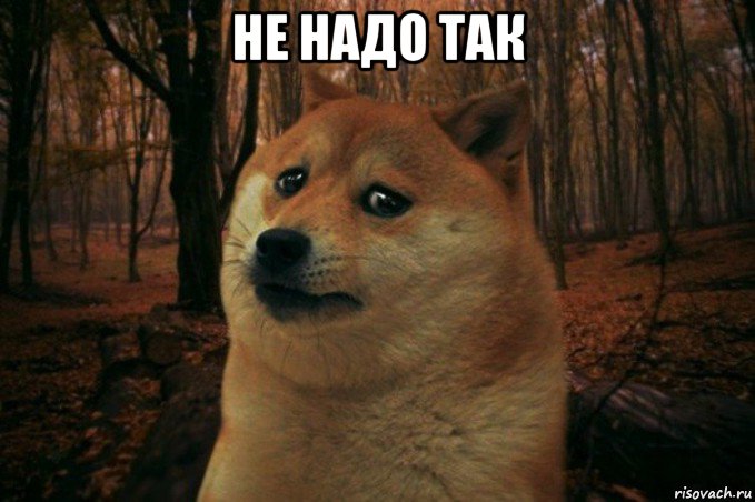 не надо так , Мем SAD DOGE