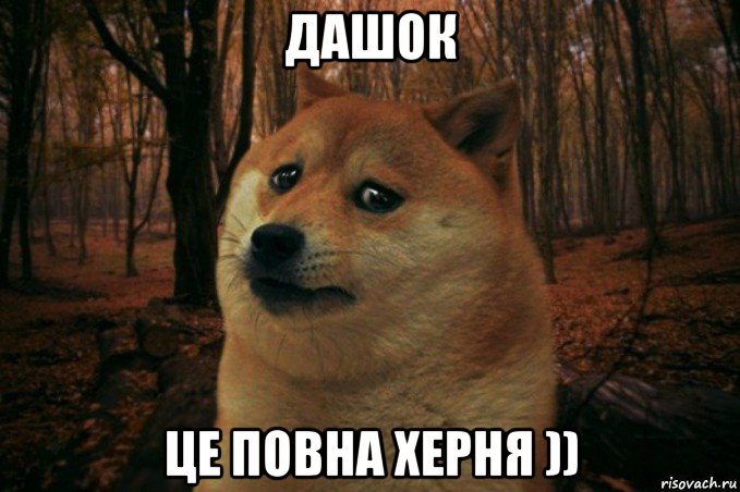 дашок це повна херня )), Мем SAD DOGE