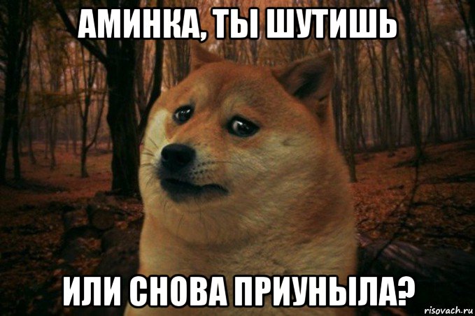 аминка, ты шутишь или снова приуныла?, Мем SAD DOGE