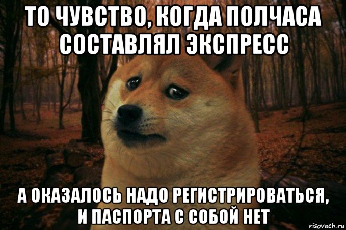 то чувство, когда полчаса составлял экспресс а оказалось надо регистрироваться, и паспорта с собой нет, Мем SAD DOGE