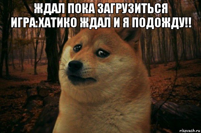 ждал пока загрузиться игра:хатико ждал и я подожду!! , Мем SAD DOGE