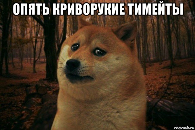 опять криворукие тимейты , Мем SAD DOGE