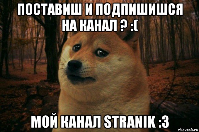 поставиш и подпишишся на канал ? :( мой канал stranik :3, Мем SAD DOGE