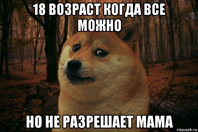 18 возраст когда все можно но не разрешает мама, Мем SAD DOGE