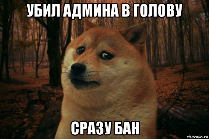 убил админа в голову сразу бан, Мем SAD DOGE