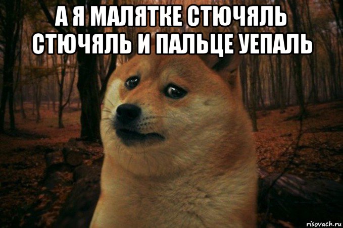 а я малятке стючяль стючяль и пальце уепаль , Мем SAD DOGE