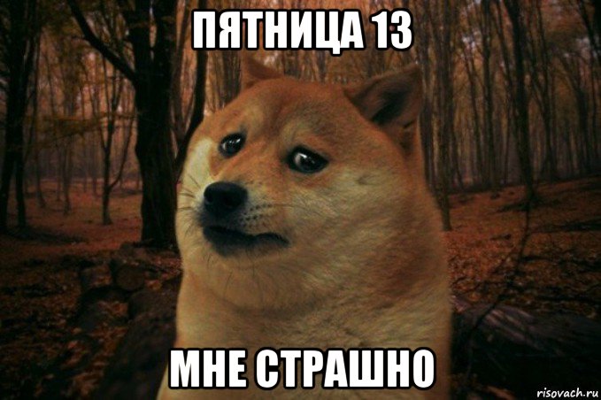 пятница 13 мне страшно, Мем SAD DOGE