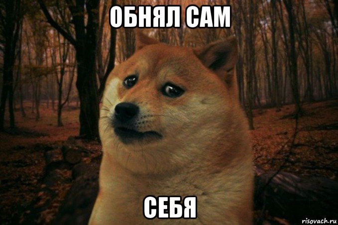 обнял сам себя, Мем SAD DOGE