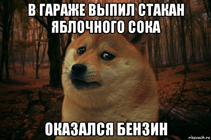 в гараже выпил стакан яблочного сока оказался бензин, Мем SAD DOGE