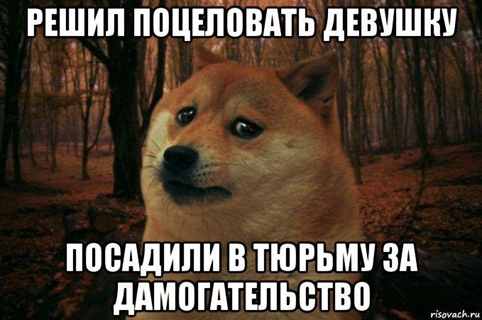 решил поцеловать девушку посадили в тюрьму за дамогательство, Мем SAD DOGE