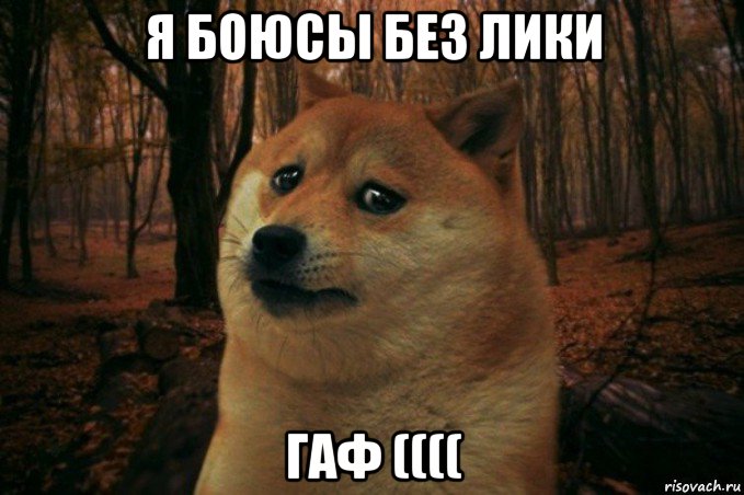 я боюсы без лики гаф ((((, Мем SAD DOGE