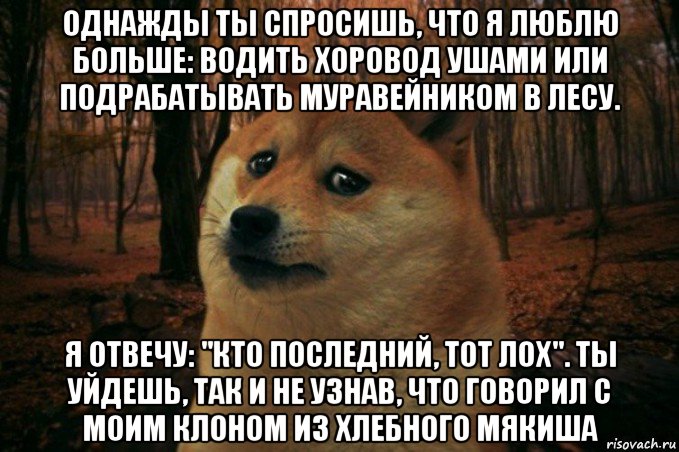 однажды ты спросишь, что я люблю больше: водить хоровод ушами или подрабатывать муравейником в лесу. я отвечу: "кто последний, тот лох". ты уйдешь, так и не узнав, что говорил с моим клоном из хлебного мякиша, Мем SAD DOGE