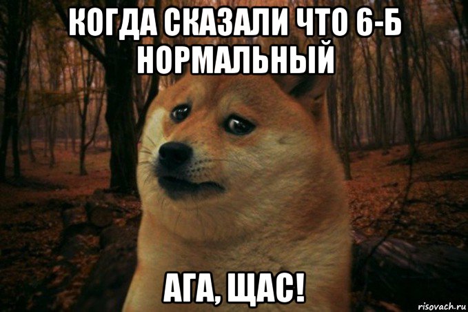 когда сказали что 6-б нормальный ага, щас!, Мем SAD DOGE