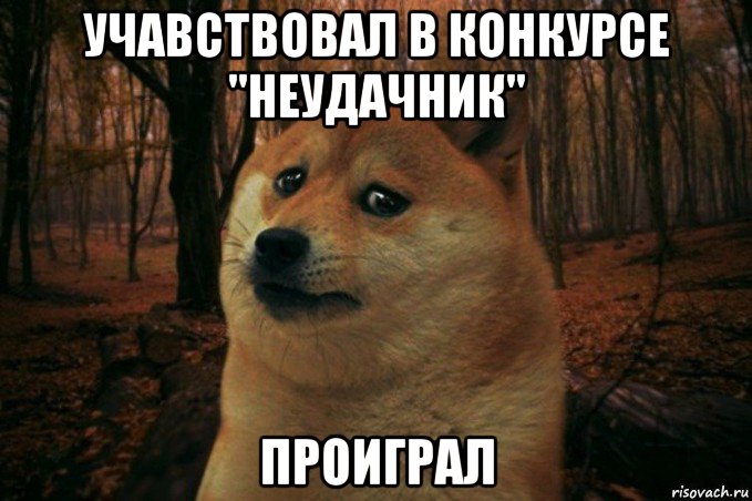 учавствовал в конкурсе "неудачник" проиграл, Мем SAD DOGE