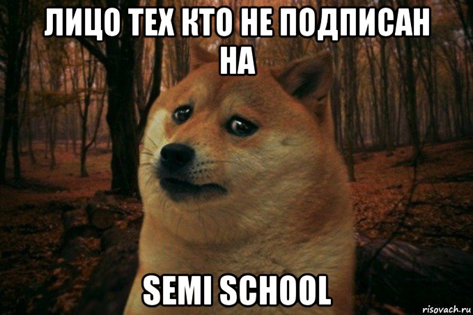 лицо тех кто не подписан на semi school, Мем SAD DOGE