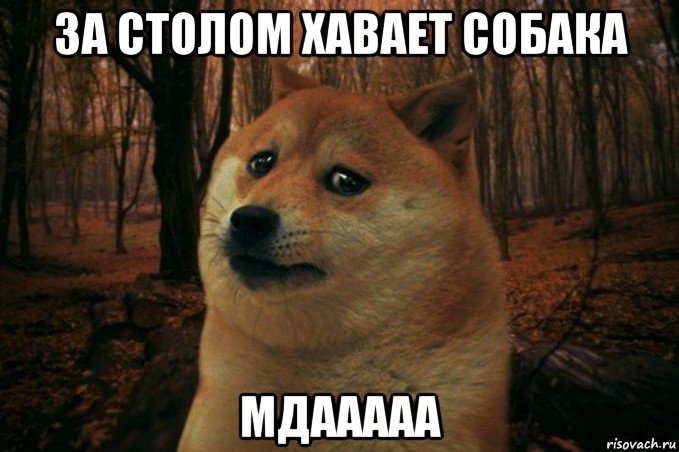 за столом хавает собака мдааааа, Мем SAD DOGE