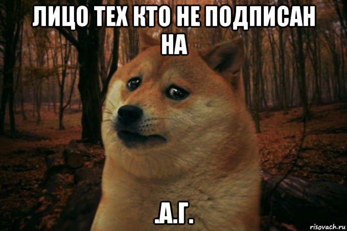 лицо тех кто не подписан на .а.г., Мем SAD DOGE