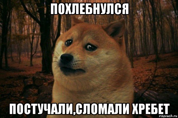 похлебнулся постучали,сломали хребет, Мем SAD DOGE