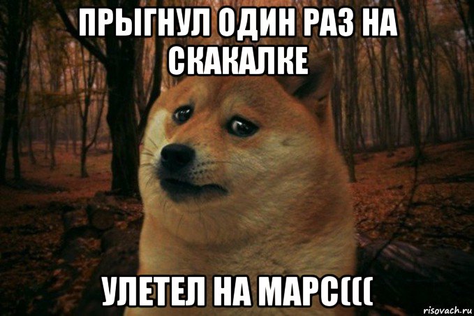 прыгнул один раз на скакалке улетел на марс(((, Мем SAD DOGE