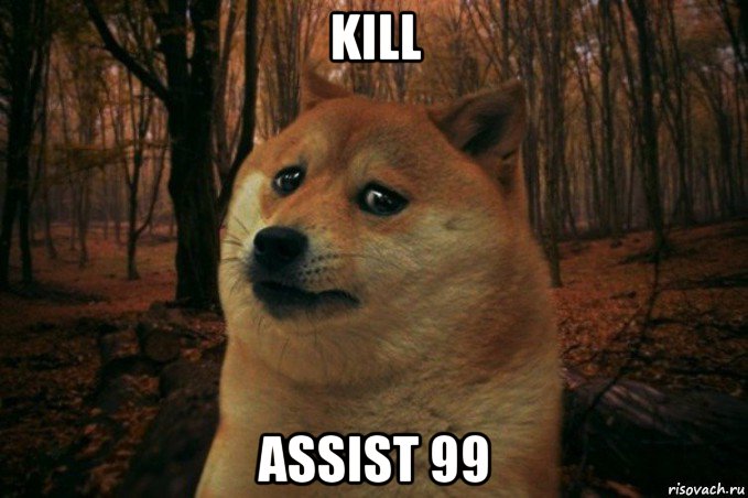 kill assist 99, Мем SAD DOGE