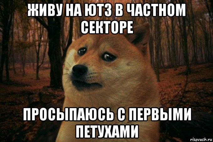 живу на ютз в частном секторе просыпаюсь с первыми петухами, Мем SAD DOGE