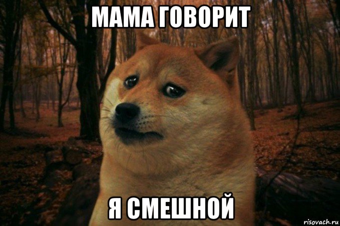 мама говорит я смешной, Мем SAD DOGE