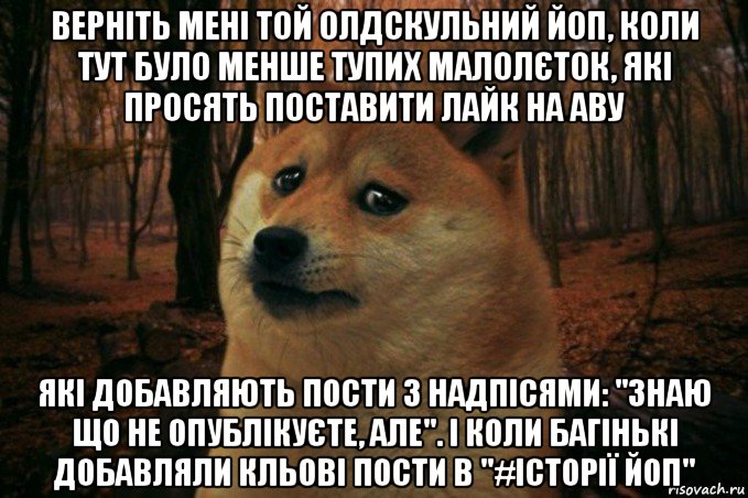 верніть мені той олдскульний йоп, коли тут було менше тупих малолєток, які просять поставити лайк на аву які добавляють пости з надпісями: "знаю що не опублікуєте, але". і коли багінькі добавляли кльові пости в "#історії йоп", Мем SAD DOGE