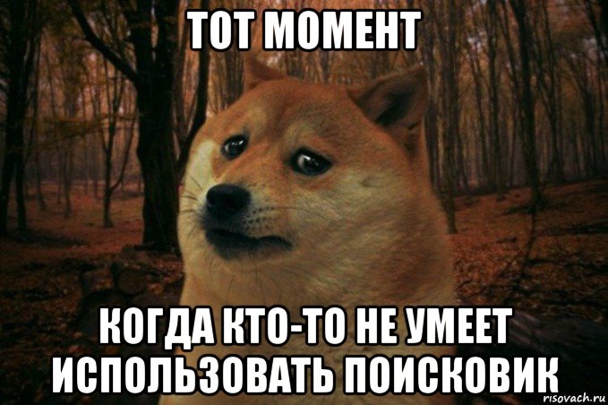 тот момент когда кто-то не умеет использовать поисковик, Мем SAD DOGE