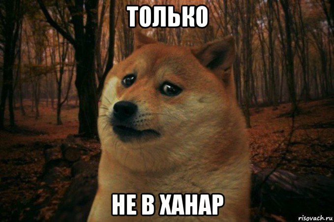 только не в ханар, Мем SAD DOGE