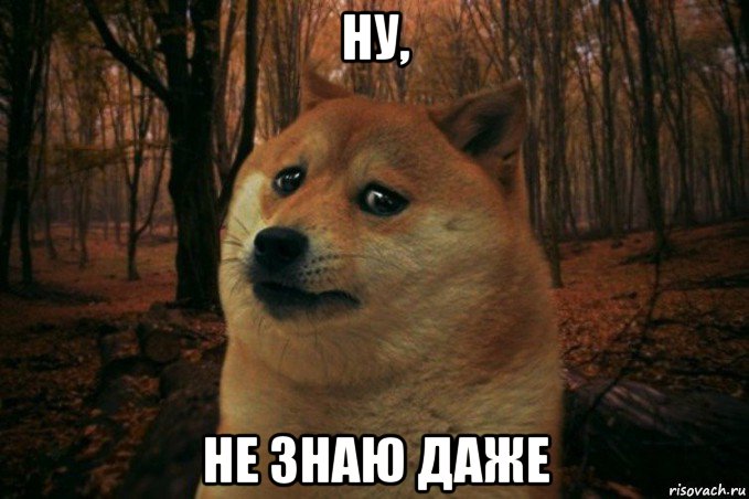 ну, не знаю даже, Мем SAD DOGE