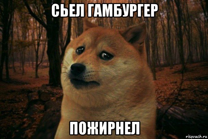 сьел гамбургер пожирнел, Мем SAD DOGE