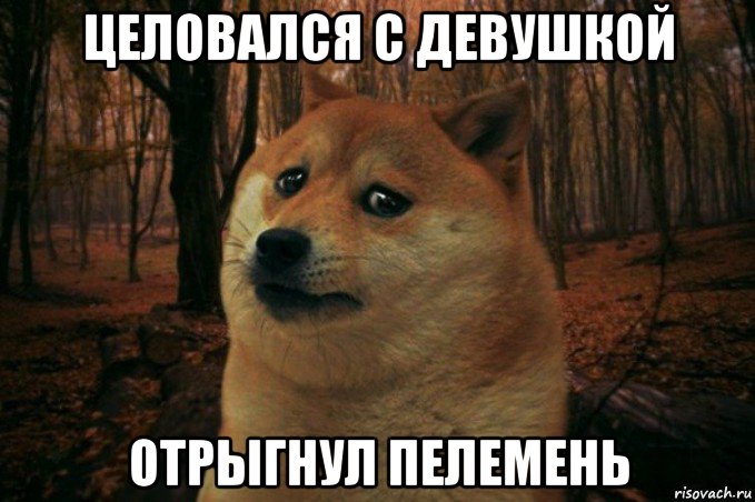 целовался с девушкой отрыгнул пелемень, Мем SAD DOGE