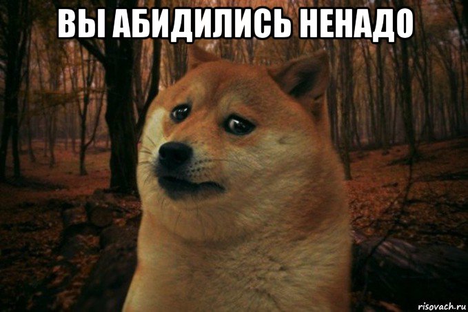 вы абидились ненадо , Мем SAD DOGE