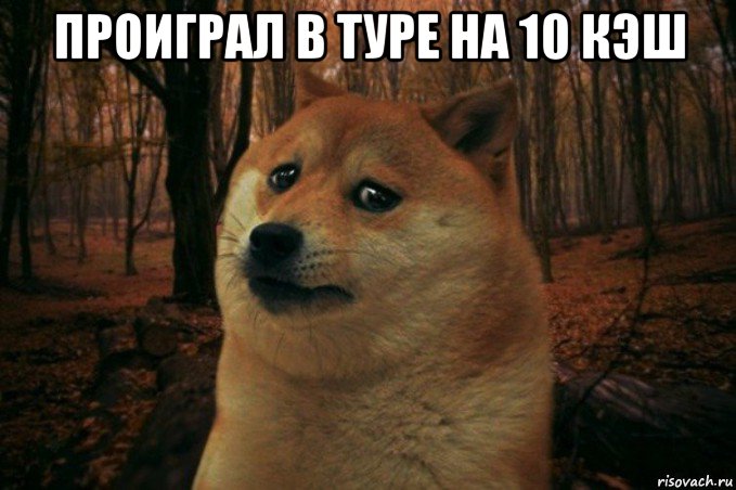 проиграл в туре на 10 кэш , Мем SAD DOGE