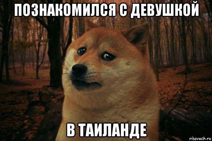 познакомился с девушкой в таиланде, Мем SAD DOGE