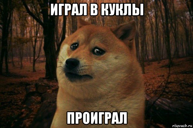 играл в куклы проиграл, Мем SAD DOGE