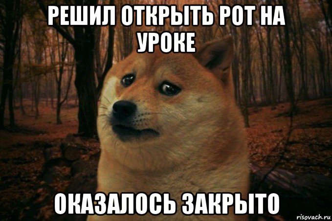 решил открыть рот на уроке оказалось закрыто, Мем SAD DOGE