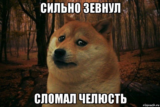 сильно зевнул сломал челюсть, Мем SAD DOGE