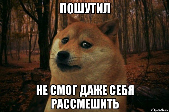 пошутил не смог даже себя рассмешить, Мем SAD DOGE