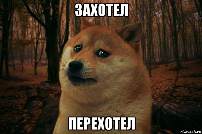 захотел перехотел, Мем SAD DOGE