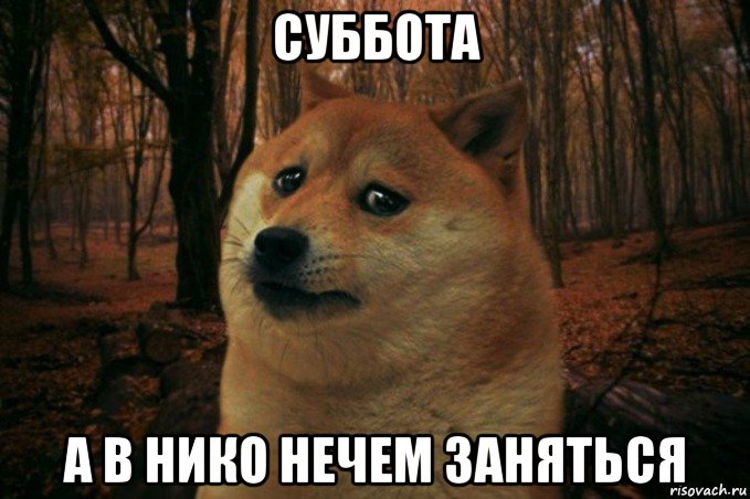 суббота а в нико нечем заняться, Мем SAD DOGE