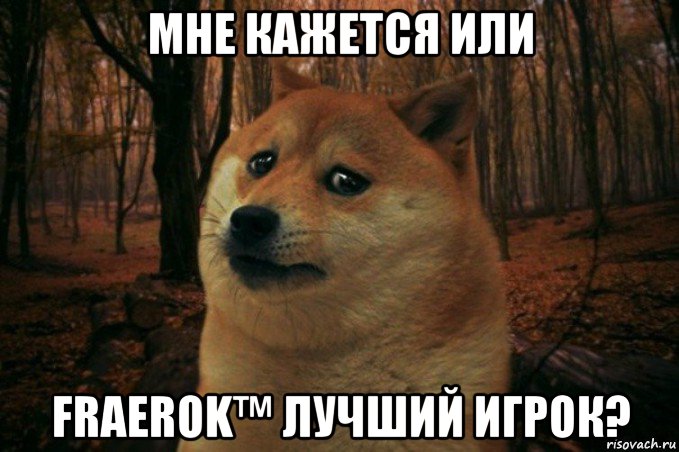 мне кажется или fraerok™ лучший игрок?, Мем SAD DOGE