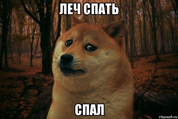 леч спать спал, Мем SAD DOGE