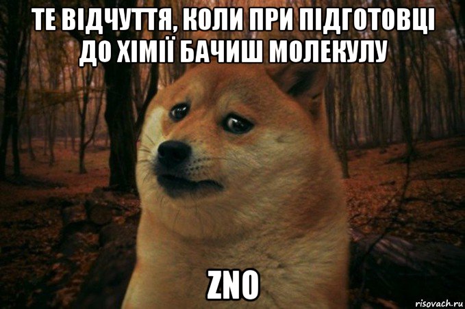 те відчуття, коли при підготовці до хімії бачиш молекулу zno, Мем SAD DOGE