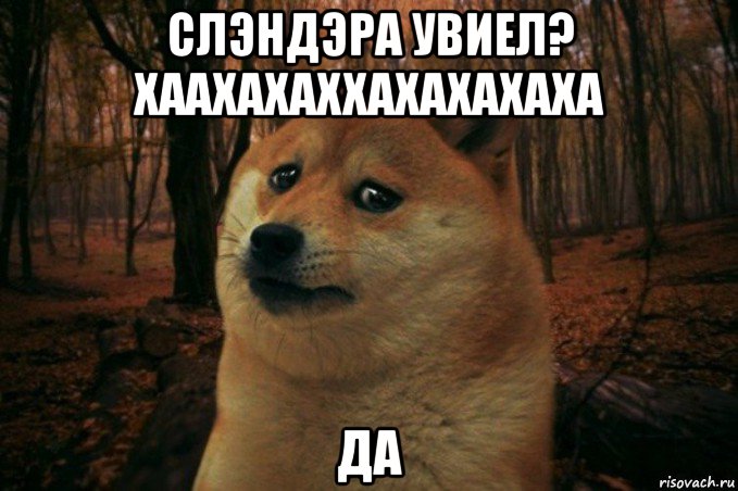 слэндэра увиел? хаахахаххахахахаха да, Мем SAD DOGE